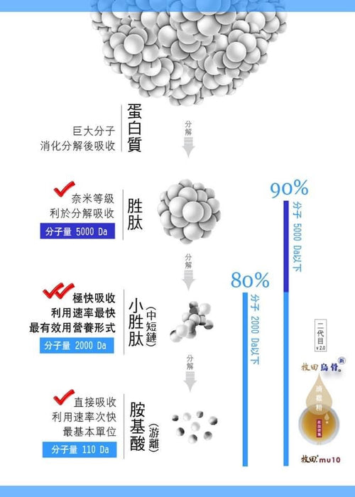 烏骨滴雞精-常溫